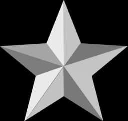 Silverstar Shuttles logo